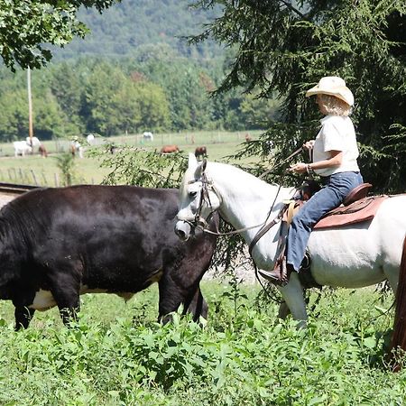 French Broad Outpost Ranch Del Rio Exterior foto
